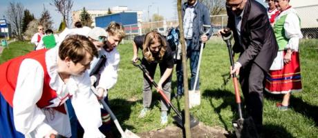 10 października – DZIEŃ  DRZEWA