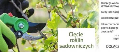 „Cięcie roślin sadowniczych” – kolejne ciekawe spotkanie na żywo z ekspertem na mojogrodek.pl - 07.02.2022