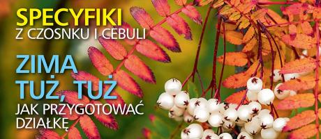 Czytajcie „działkowca”! - 19.10.2022