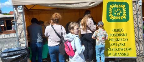 VII edycja Festiwalu Czyste Miasto Gdańsk