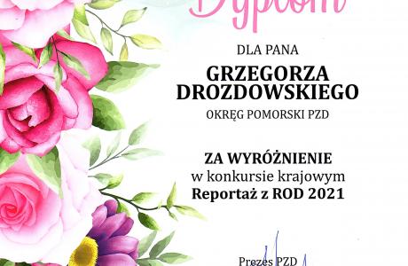 Dyplom Grzegorz Drozdowski.jpg