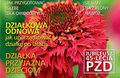 01_DZ08.jpg