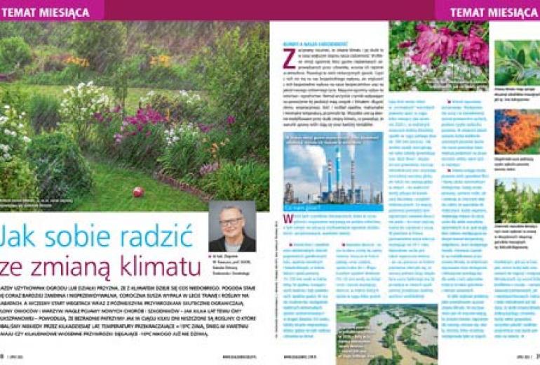 Zapraszamy do lektury nowego lipcowego "Działkowca"