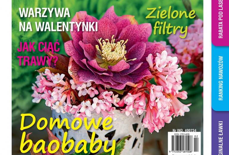 Lutowy „Mój Ogródek” – od 20.01 w sprzedaży! Kup, przeczytaj, poleć innym działkowcom i ogrodnikom!